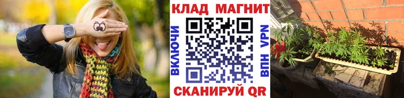 Где купить наркотики Белореченск ГАШИШ  Каннабис  A-PVP  Мефедрон  Кокаин 