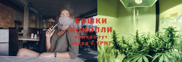 соль ск Арсеньев