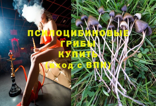 соль ск Арсеньев