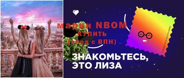 соль ск Арсеньев